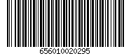 656010020295
