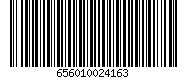 656010024163