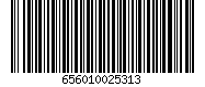656010025313