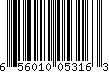 656010053163