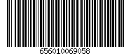 656010069058