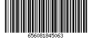 656081845063