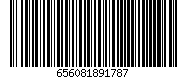 656081891787