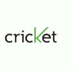 Cricket