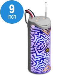 Super Cool Changeable LED Light Portble Bluetooth Wireless Speaker with Carry to Go (Zebra Maze)