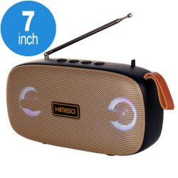 Dual Speaker LED Bluetooth Wireless Speaker with FM Radio, Micro SD, Flash Drive Slot, Aux Port (Gold)