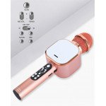 Wholesale Karaoke Microphone LED Light Mirror Screen Portable Bluetooth Speaker with Voice Changer Q009 (Rose Gold)