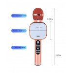 Wholesale Karaoke Microphone LED Light Mirror Screen Portable Bluetooth Speaker with Voice Changer Q009 (Rose Gold)