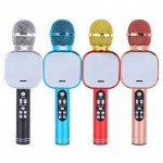 Wholesale Karaoke Microphone LED Light Mirror Screen Portable Bluetooth Speaker with Voice Changer Q009 (Red)