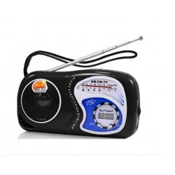 Pocket Radio Clock AM FM Speaker Uses AA Battery [No Bluetooth Feature] YS2019 for Universal Cell Phone And Bluetooth Device (Black)