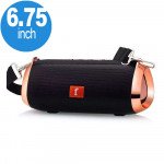 Wholesale Carry to Go Chrome Metallic Design Portable Bluetooth Speaker ET801 (Black)