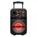 Wholesale Trendy LED Trolley Portable Bluetooth Large Speaker with Microphone and Remote QS807 (Black)