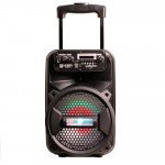 Wholesale Large Trolley LED Portable Bluetooth Speaker with Microphone and Remote QS810 (Black)