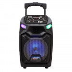 Wholesale LED Trolley Portable Bluetooth Large Speaker with Microphone and Remote QS811 (Black)
