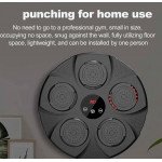 Wholesale Wall-Mounted Bluetooth Boxing Machine: Electronic Reflex Trainer for Home Fitness 5STAR for Universal Cell Phone And Bluetooth Device (Black)