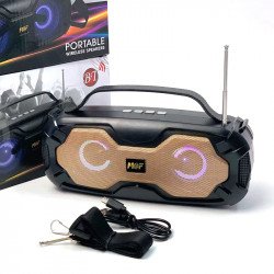 Portable Wireless Bluetooth Speaker with FM Radio, Multi LED Colors Lights, Stereo Sound, Booming Bass, Easy to Carry for iPhone, Cell Phone, Universal Devices MF210 (Gold) Portable Wireless Bluetooth Speaker with FM Radio, Multi LED Colors Lights, Stereo Sound, Booming Bass, Easy to Carry for iPhone, Cell Phone, Universal Devices MF210 (Gold)