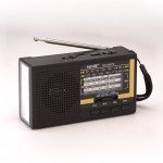 Power of Radio AM/FM/SW Portable Radio with Bluetooth Portable Speaker - Perfect for Home and Outdoor Entertainment NS8087BT for Universal Cell Phone And Bluetooth Device (Black)