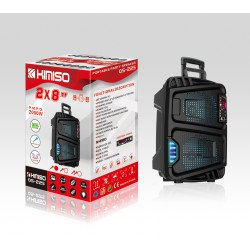 2PC Large Trolly LED Light Wireless Portable Bluetooth Speaker with Karaoke Microphone and Remote for iPhone, Cell Phone, Universal Devices QS225 (Black) [2PC X $70]