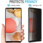 Wholesale Privacy Anti-Spy Full Cover Tempered Glass Screen Protector for Samsung Galaxy A03, A03s (USA), A03 Core, A02s, M12, M02 (Black)
