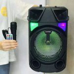 Wholesale LED Light Tower Wireless Portable Bluetooth Speaker with Karaoke Microphone and Remote QS-881 for Universal Cell Phone And Bluetooth Device (Black)