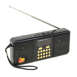 Modern Design Retro Style FM Radio Portable Bluetooth Speaker YG-1882BT for Universal Cell Phone And Bluetooth Device (Black)