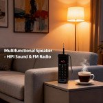 Wholesale Classic Telephone Design FM Radio Portable Bluetooth Speaker B216 for Universal Cell Phone And Bluetooth Device (Blue)