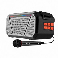 Carry Strap Loud Stereo Boombox Portable Bluetooth Speaker with Wireless Microphone and Remote (Black)
