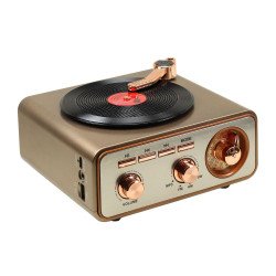 Classic Record Player Design Retro Bluetooth Speaker with Wireless Audio & FM Radio (Gold)