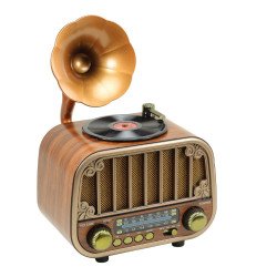 Classic Phonograph Design Bluetooth Speaker with Built-In FM Radio (Brown)