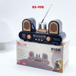 Cool Fancy Retro Classic Portable Bluetooth Speaker with AM FM SW Radio (Black)