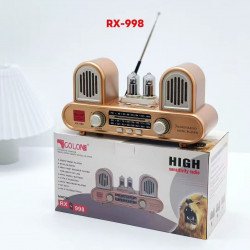 Cool Fancy Retro Classic Portable Bluetooth Speaker with AM FM SW Radio (Gold)