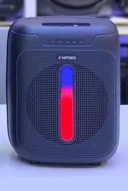 Karaoke LED Light Indoor Outdoor Portable Bluetooth Wireless SPEAKER with Microphone QS5604 (Black)