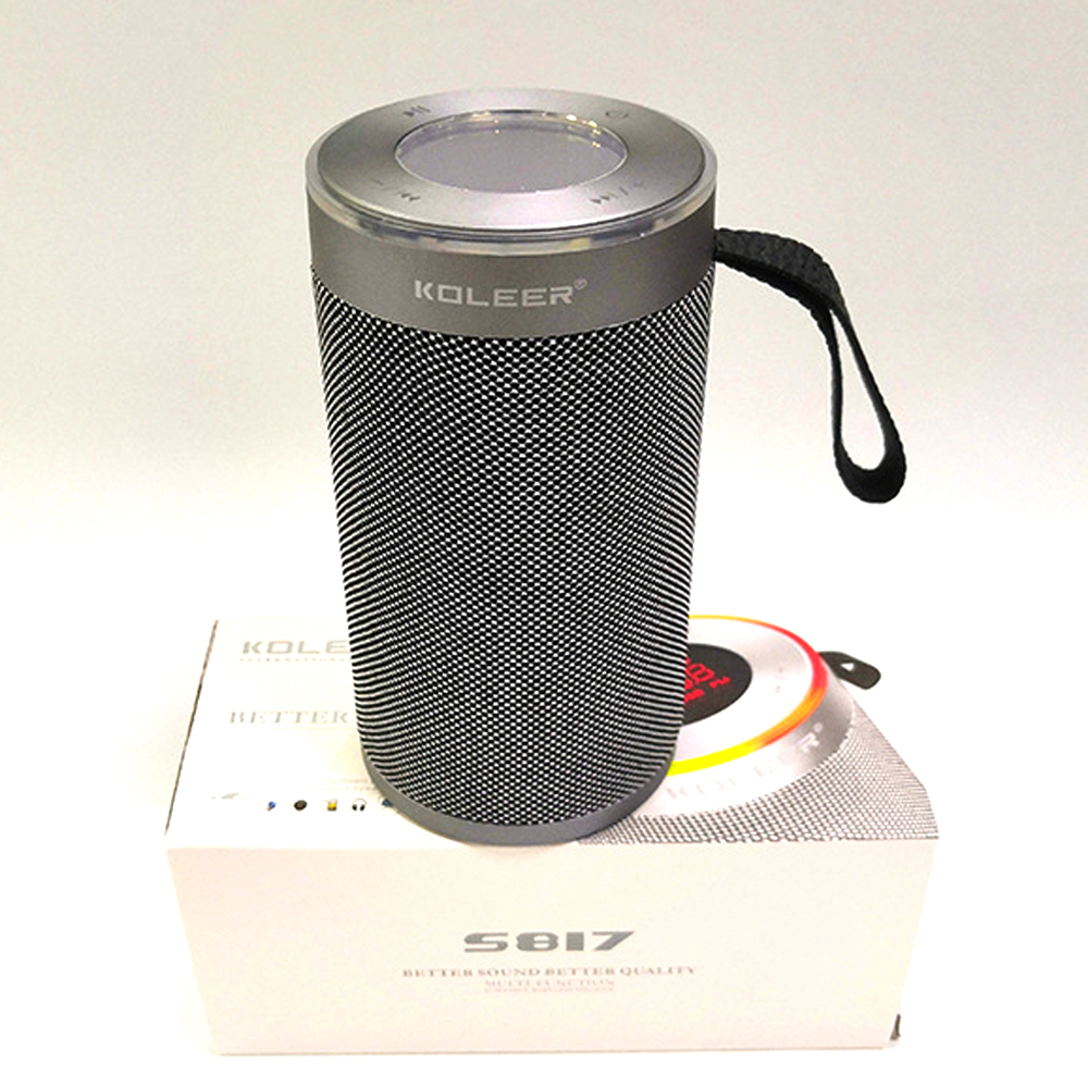 Upgrade Listening Experience with Powerful Wireless Portable SPEAKER S817 (Silver)